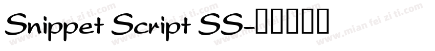 Snippet Script SS字体转换